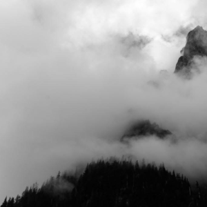 Why Have You Forsaken Me? (Psalm 22)